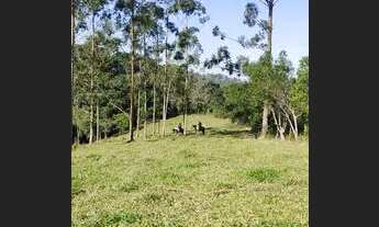Imagem 2: Lotes e terrenos de frente para o lago!