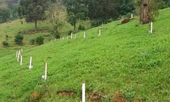 Imagem 2: Chácara em Planalto Alegre - SC