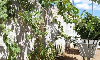 Imagem 5: Ágio de um lote