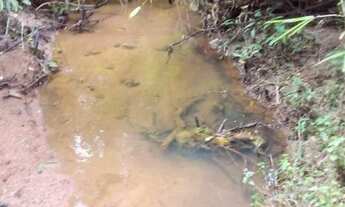 Imagem 5: Vende chacara 2769 mts com riozinho nos fundos e muita tranquilidade areia vermelha