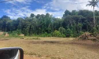 Imagem 7: Terreno para chácara pronto para construir