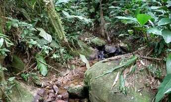 Imagem 7: TERRENOS DE 1.000M² LOCALIZADO EM IGARATÁ-SP
