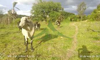 Imagem 2: Terreno à venda em Jardim San Remo, Atibaia: 5.000 m² com ótima topografia