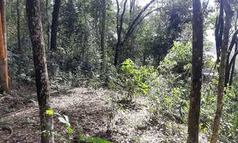 Imagem 7: Lote em condomínio de Macacos/Nova Lima