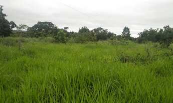 Imagem 14: Vende-se Fazenda com 80 Hectares, na região do olho d'água, com rio taquaral nos fund