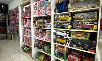 Imagem 6: Vendo loja completa de utilidades