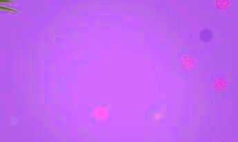 Imagem: Casa de aluguel para festival de Alegre