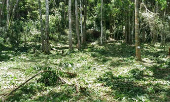 Imagem 5: Sitio 7 Hectares Delfim Moreira /MG Excelente Oportunidade em Permuta!