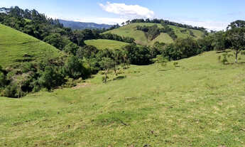 Imagem 3: Sitio 7 Hectares Delfim Moreira /MG Excelente Oportunidade em Permuta!