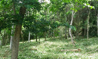 Imagem 2: Sitio 7 Hectares Delfim Moreira /MG Excelente Oportunidade em Permuta!