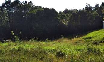 Imagem 7: Terreno à venda, 778 m² por R$ 1.020.000,00 - João Paulo - Florianópolis/SC