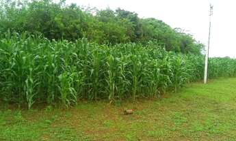 Imagem 7: Chácara em Brazlândia - DF na Chapadinha