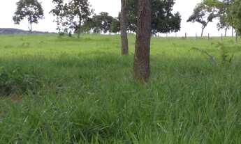 Imagem 2: 425 alqueiros município de Doverlandia