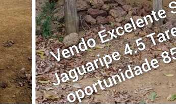 Imagem 3: Vendo excelente sitio Nazaré X Valença