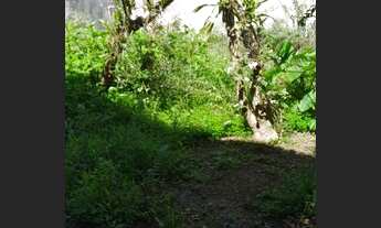 Imagem 3: Casa para venda com 210 metros quadrados com 3 quartos em Macuco - Santos - SP