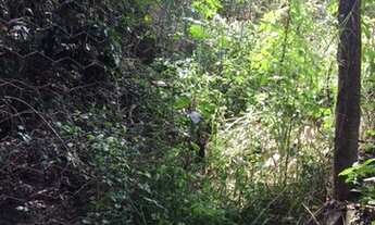 Imagem 1: Lote/Terreno para venda possui 708 metros quadrados em Duquesa II(São Benedito) - Santa Lu