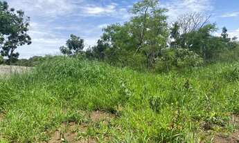 Imagem 2: Chácara Ponte alta 4 Hectares