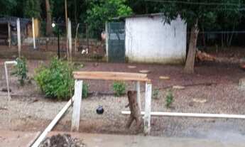 Imagem 3: Chácara em Brazlândia ´DF próximo a Festa do Morango e ao Bica D'água