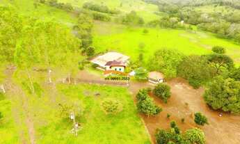 Imagem 2: Fazenda para Venda em Miranorte, Região produtora consolidada