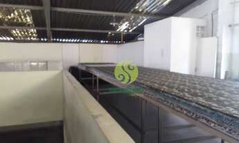 Imagem 5: Galpão para alugar, 1.129 m² - Floresta - Belo Horizonte/MG