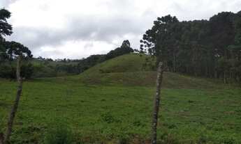 Imagem 3: Sítio com 4 Alqueires de Terras Férteis e Rico em Água, Sul de Minas, Delfim Moreira/MG