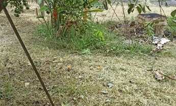 Imagem 2: Chácara Areal, Itaboraí-RJ