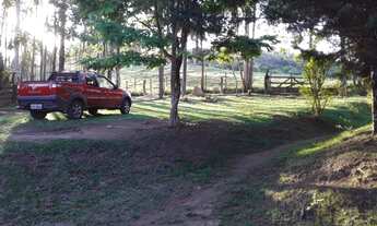 Imagem 6: Sitio 4.2 Hectares em Desterro de Entre Rios