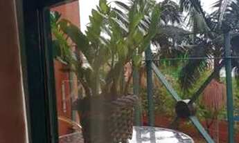 Imagem 4: APARTAMENTO - VILA DO CASTELO - SP