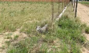 Imagem 7: Chácara , sítio etc?