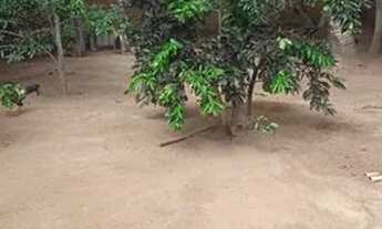 Imagem 3: Casa em Riacho da Guia - Alagoinhas