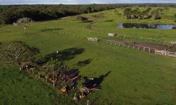 Imagem 2: Fazenda Vale do Boi - Ideal para pecuária