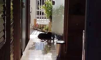 Imagem 3: Linda casa rosa/aconchegante em Penha/SC