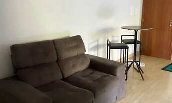 Imagem 6: Festival de alegre alugo alegre espírito santo