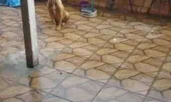 Imagem 2: Imóvel a venda em Brotas