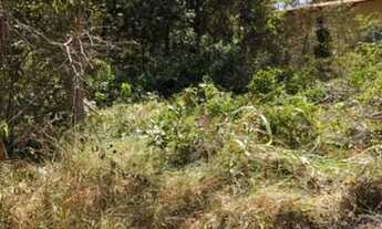 Imagem 5: Vendo Excelente Lote na Ilha Do Mangabal