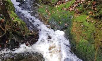 Imagem 5: Sítio (título definitivo)200x2000 com cachoeira em Presidente Figueiredo