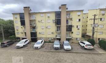 Imagem 7: Apartamento para Aluguel - Pinheiro, 2 Quartos, 43 m2