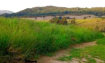 Imagem 3: Lote/Terreno para venda possui 500 metros quadrados em Vila Assunção - Santo André - SP