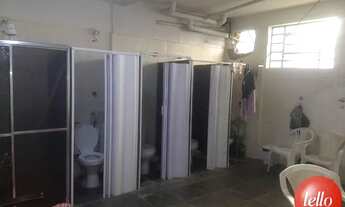 Imagem 6: São Paulo - Galpão/Depósito/Armazém - Tatuapé