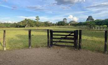 Imagem 4: Fazendinha em bom jardim