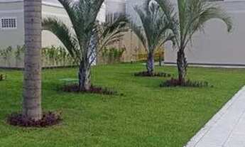 Imagem 2: Aluga-se candeias barra jangada