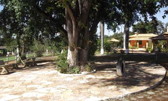 Imagem 6: Fazendinha de 40.000m² Baldim (Temos mais opções