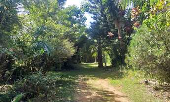 Imagem 6: Sítio Café - Estância Hidromineral de Amparo/SP