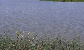 Imagem 2: Fazenda município de Crixás 128 alqueires!!