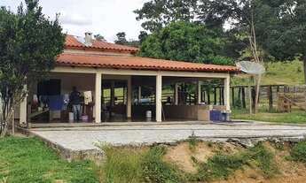 Imagem 2: Fazenda de 54 alq. Cocalzinho