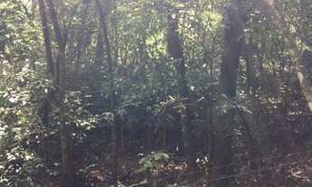 Imagem 2: Lote/Terreno para venda possui 708 metros quadrados em Duquesa II(São Benedito) - Santa Lu