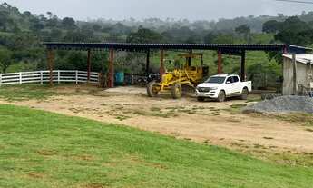 Imagem 4: Fazenda Município de Hidrolândia-Go