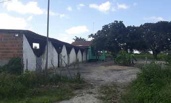 Imagem 4: Excelente Fazenda com 95 hectares na região de vera cruz