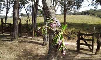 Imagem 7: Sitio 4.2 Hectares em Desterro de Entre Rios