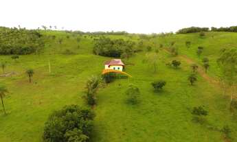 Imagem 6: Fazenda para Venda em Miranorte, Região produtora consolidada